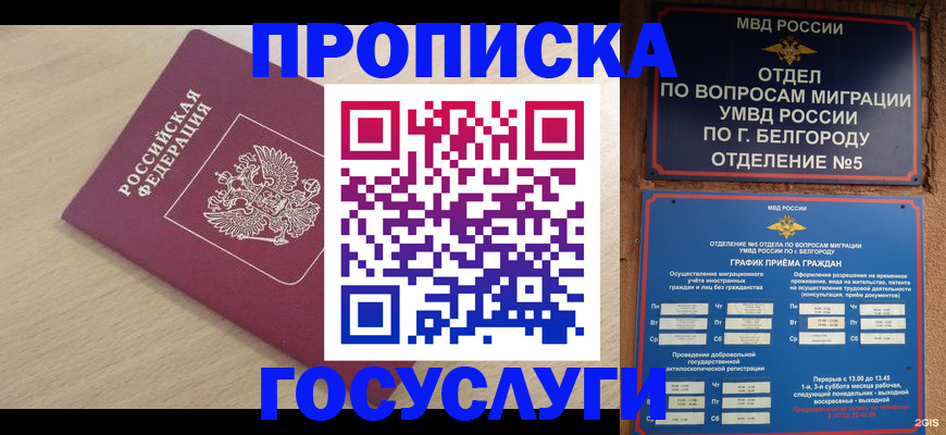 прописка законно в Славгороде
